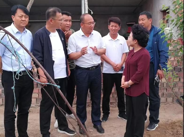 1561595820126483.jpg 2.jpg