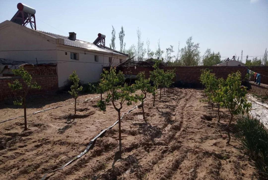 1561595939359358.jpg 5.jpg