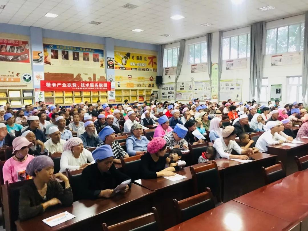 1561596017738081.jpg 6.jpg