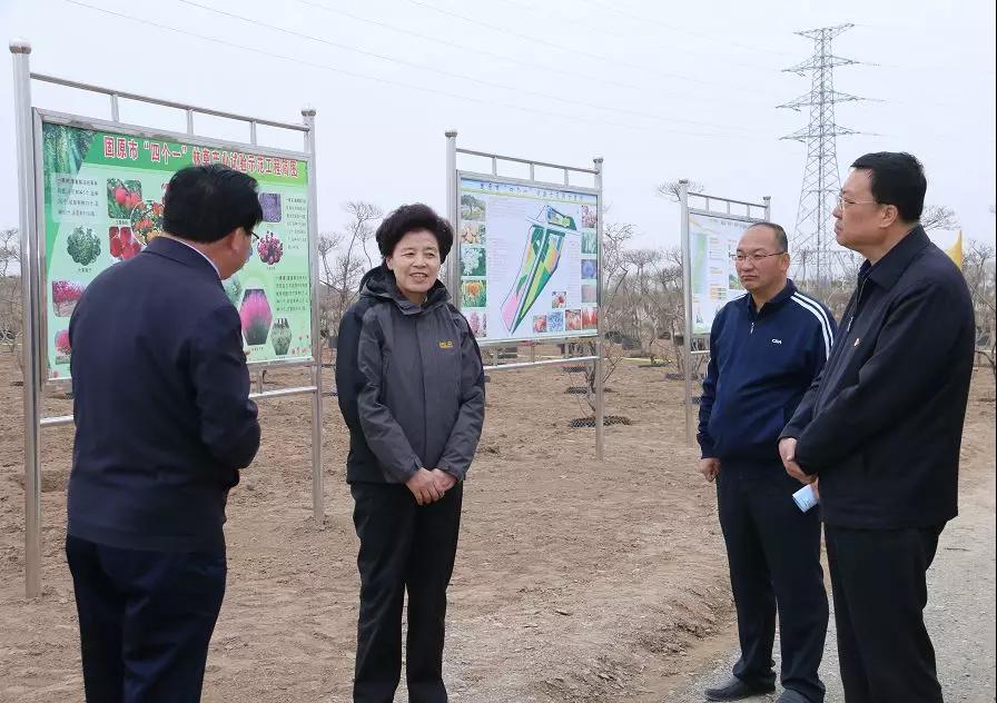 1562741923933832.jpg 6.jpg